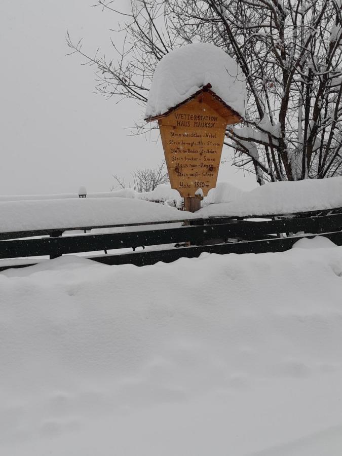 Haus Mauken - Appartments Mit Panoramablick Murau Eksteriør bilde