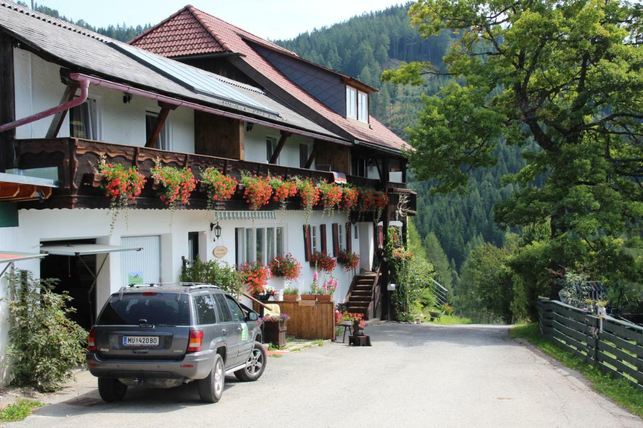 Haus Mauken - Appartments Mit Panoramablick Murau Eksteriør bilde