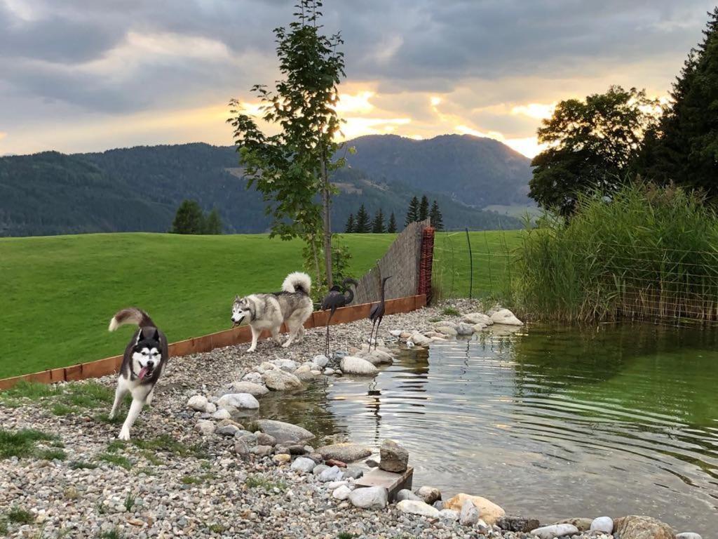 Haus Mauken - Appartments Mit Panoramablick Murau Eksteriør bilde