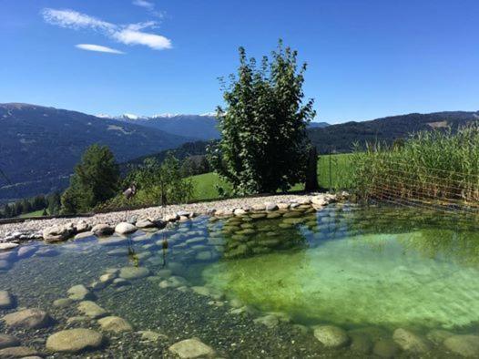 Haus Mauken - Appartments Mit Panoramablick Murau Eksteriør bilde